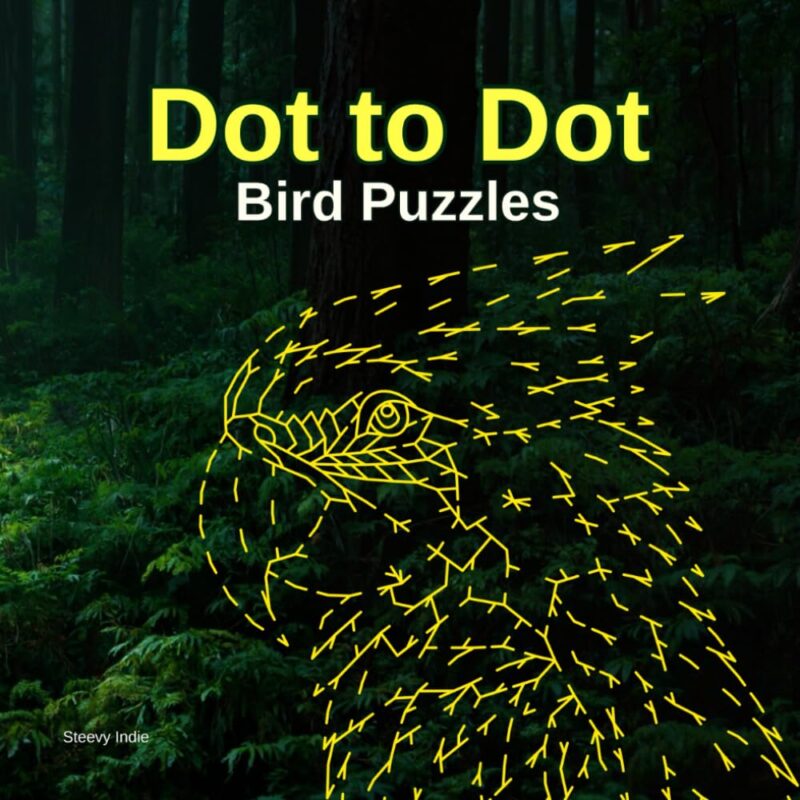 Dot to Dot Bird Puzzles: 30 Relaxing Avian Line Art Challenges for Teens and Adults - Creative Fun for Stress Relief and Focus